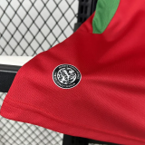 2026-27 Morocco Home Fans Soccer Jersey (Right-Arm Patch)