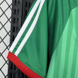 2026-27 Algeria Away Fans Soccer Jersey (right-arm patch)(无星)