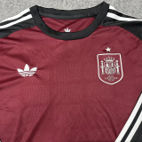 2026-27 Spain Brown Goalkeeper Long Sleeve Soccer Jersey (长袖)
