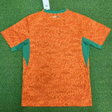 2026-27 Ivory Coast Home Fans Soccer Jersey (Right-Arm Patch)