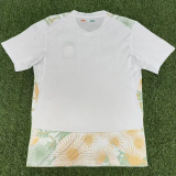 2026-27 Ivory Coast Away Fans Soccer Jersey (Right-Arm Patch)