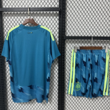 2026-27 Spain World Cup Goalkeeper Kit Adult Socce Jersey(成人套装）