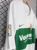 25-26 Elche Special Edition Fans Soccer Jersey