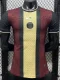 25-26 PSG Brown Special Edition Player Version Training shirts