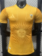 2026-27 Argentina Golden Special Edition Player Version Training shirts
