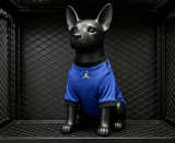 2026-27 Brazil Away Pet Soccer Jersey