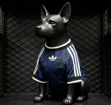 2026-27 Argentina Away Pet Soccer Jersey