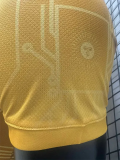 2026-27 Argentina Golden Special Edition Player Version Training shirts