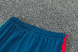 2026-27 Portugal Red Half Pull Tracksuit (半拉链)