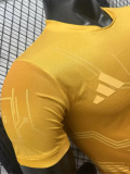 2026-27 Argentina Golden Special Edition Player Version Training shirts