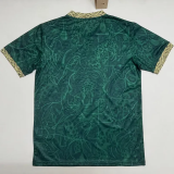2026-27 Brazil Green Special Edition Fans Soccer Jersey (小鹦鹉标 )