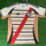 2026-27 Mexico Khaki White Special Edition Training shirts