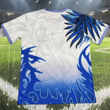 2026-27 Brazil White Blue Special Edition Training shirts (鹰头)