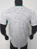 2026-27 Ivory Coast White Special Edition Player Version Soccer Jersey