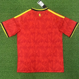 2026-27 Belgium Home 1:1 Fans Soccer Jersey
