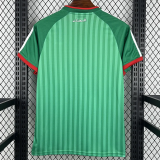 2026-27 Algeria Away Fans Soccer Jersey (无星)