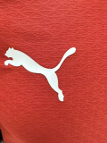 2026-27 Austria Home Player Version Soccer Jersey