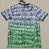 26-27 Nigeria Grey Green Training Shirts