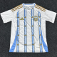 2026-27 Argentina White Special Edition Training shirts (金边)