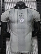 2026-27 Algeria Grey Special Edition Player Version Training shirts