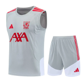 26-27 LIV Gray Tank top and shorts suit
