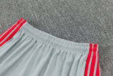26-27 LIV Gray Training Short Suit