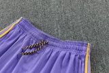 25-26 Man Utd Purple Training Short Suit