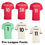 25-26 LIV Black Special Edition Fans Training shirts