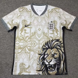 26-27 England Khaki Special Edition Training shirts (狮)