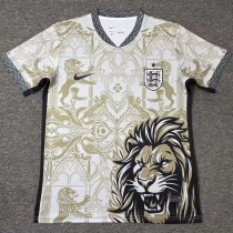 26-27 England Khaki Special Edition Training shirts (狮)