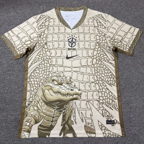26-27 Brazil Khaki Special Edition Fans Training shirts (鳄鱼图 )