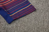 25-26 BAR Fancy blue Training Short Suit