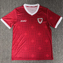 26-27 Wales Red Fans Soccer Jersey (Su-du)