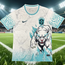 26-27 Brazil Blue White Special Edition Training shirts