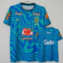 26-27 Brazil Blue Green Training shirts