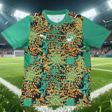 26-27 Ivory Coast Green Training shirts
