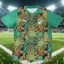 26-27 Ivory Coast Green Training shirts
