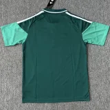 26-27 Celtic Green Polo Short Sleeve (半拉链)