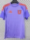 26-27 Universidad De Chile Purple Training shirts (圆领)