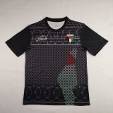2024 Palestine Fans Version Soccer Jersey