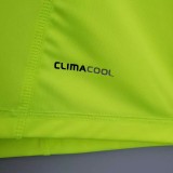 2010-2011 Palmeiras Fluorescent Green Retro Soccer Jersey