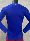 2024 Argentina Away Long sleeves Player Version Soccer Jersey