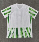 25-26 Nigeria Home Fans Soccer Jersey