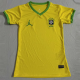 25-26 Brazil Yellow Special Edition Women Training shirts (女)