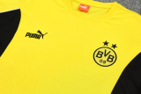 25-26 Dortmund High Quality Training Short Suit