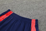 2024 AD Royal blue Training Short Suit