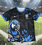 25-26 Brazil Blue Special Edition Training shirts