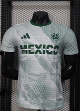 2026 Mexico World Cup Culture Promotion Green Player Version Training shirts