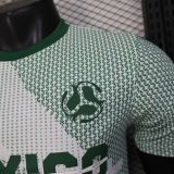 2026 Mexico World Cup Culture Promotion Green Player Version Training shirts