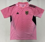 25-26 Venezuela Pink Goalkeeper Fans Soccer Jersey